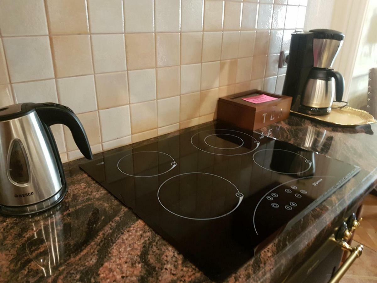 Goldstar Luxury Old Town Krakow Apartment Экстерьер фото